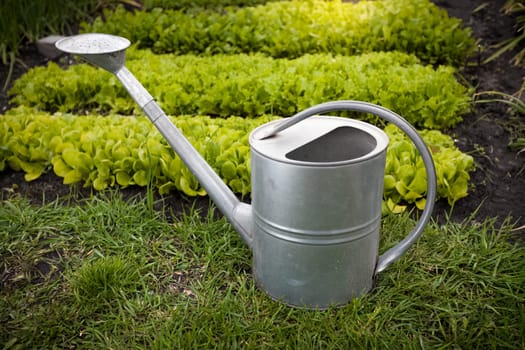 Closeup photo of galvanized watering can on garden bed at sunny day