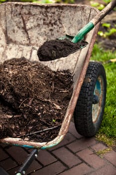 Closeup photo of spade putting soil in old wheelbarrow