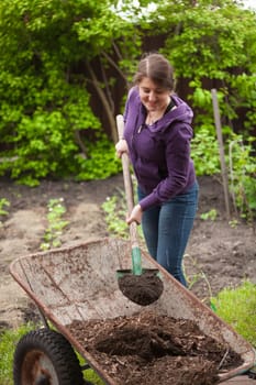 Photo of woman fertilizing garden bed with compost from wheelbarrow