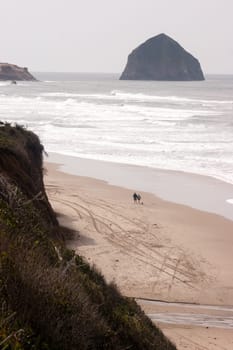 A couple walks the dog along the Pacific Ocean of the West Coast