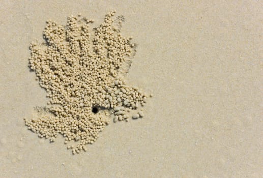 Beach sand background