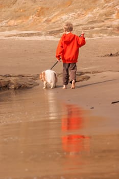 Beautiful beach scene young boy walking his dog