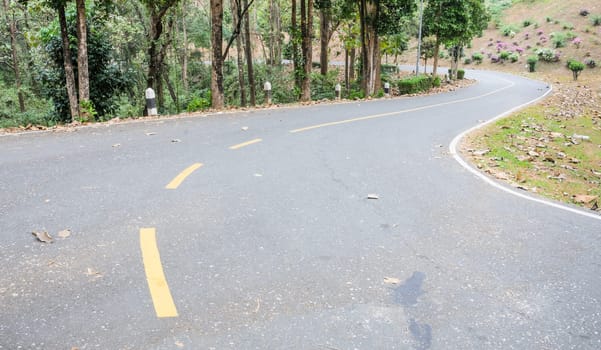 Asphalt curved road
