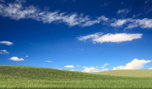 Field,tree and blue sky for adv or others purpose use