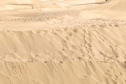African European Sand Dune Desert Landscape in Gran Canaria Island Spain