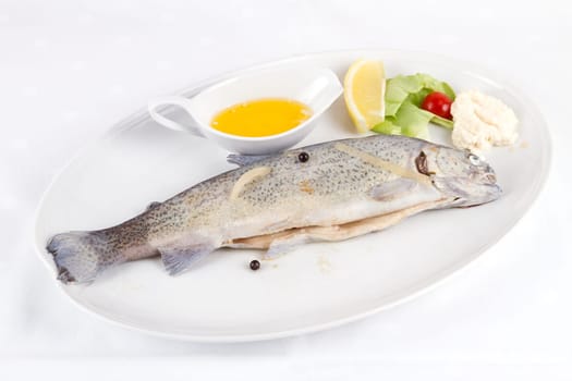 Trout