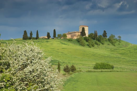 View of a romantic homestead, blooming bushes are in the foreground. (Tuscany, Italy)