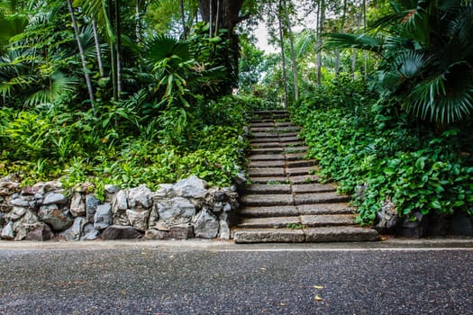 Natural stone stairs in garden