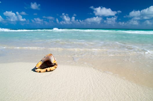 sea beach blue sky sand sun daylight relaxation landscape