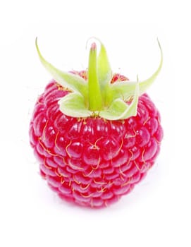 fresh raspberry closeup isolated on white background