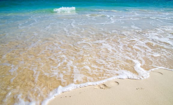 beautiful beach and tropical sea