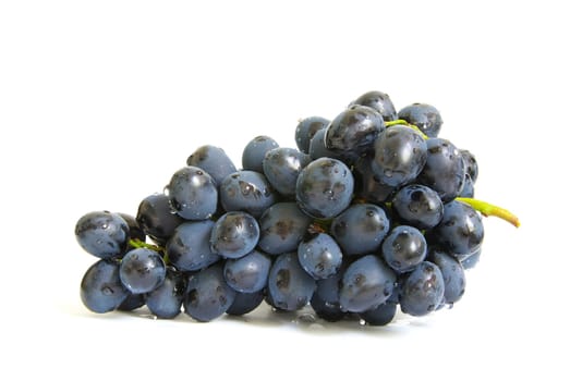 The branch of grapes with water drops