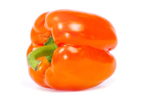 Colored  pepper isolated on a white background