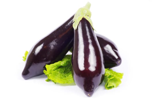 aubergine isolated on white background