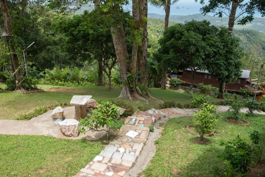 Garden stone path with grass