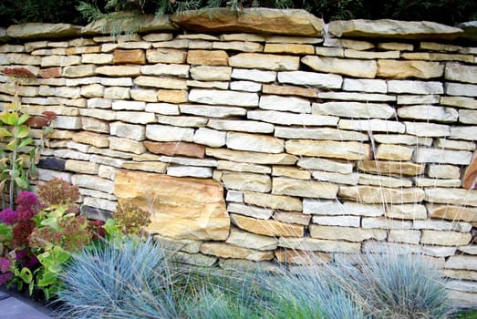 Stone fence with aplant
