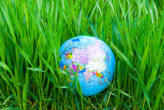 Earth  globe in hte grass