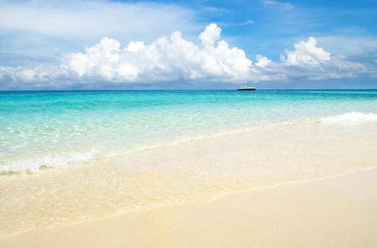 beautiful beach and tropical sea