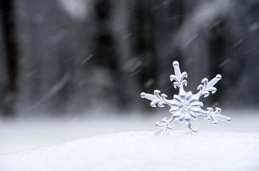 Snowflake in a white snow