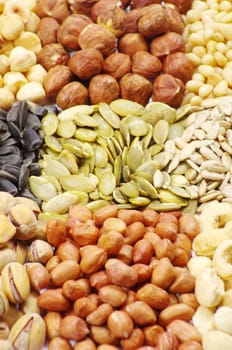 various nuts on a background