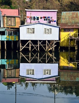 Palafitos Houses are distinctive examples of Chilote architecture. The large houses are located on the shores of the Gamboa River and the Lemuy Canal. They are supported by thick pieces of wood embedded in the ocean floor and covered in tile roofs. At low tide, it is possible to see where the support structure anchors into the floor of the ocean  at high tide, the houses seem to float.