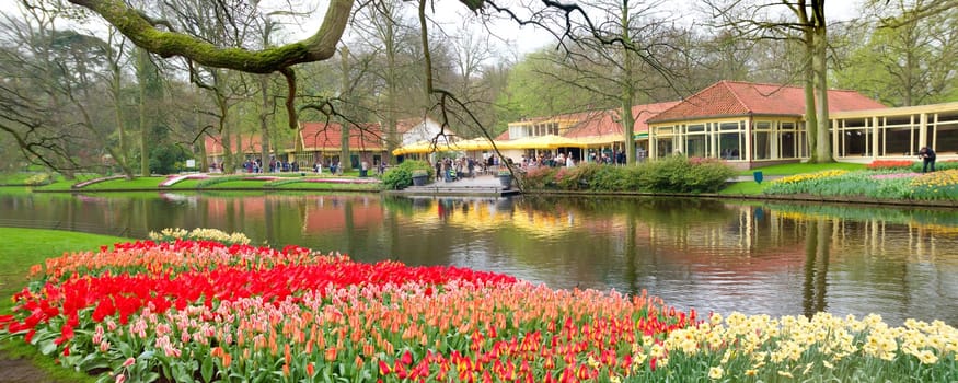 tulip gardens in the Keukenhof in Lisse, Netherlands. Keukenhof is the world's largest flower garden with 900,000 visitors a year