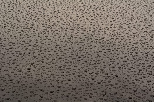 Waxed car paint