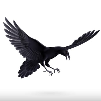 Illustration of aggressive black raven isolated on white background