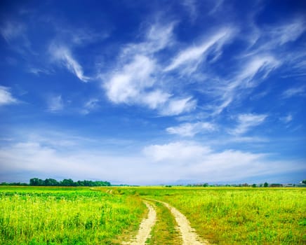 field on a background of the blue sky