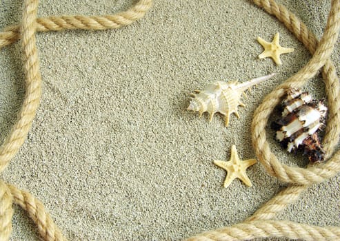 starfish and shells in rope on sand