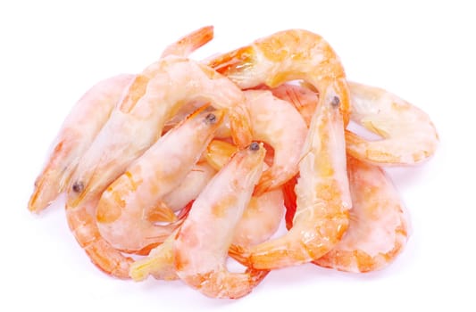 shrimp isolated on a white background