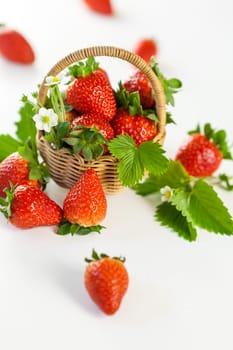 Fresh strawberries in a small basket with green leaves on a white background