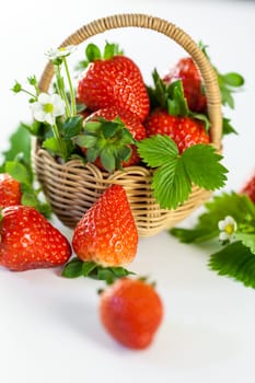 Fresh strawberries in a small basket with green leaves on a white background