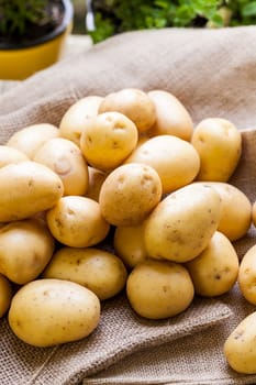 Fresh new potatoes on a jute sack with a green background as a close-up