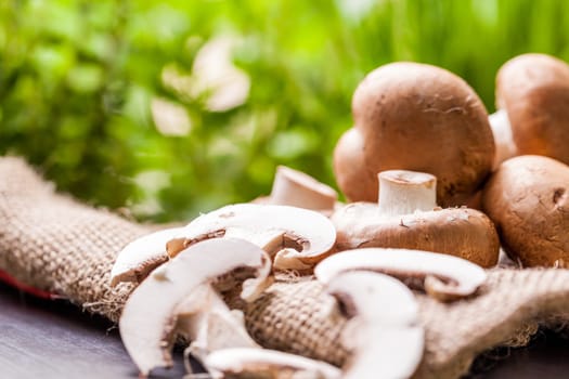 Fresh braund champignons in sunlight on a wooden table in daylight