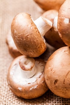 Fresh braund champignons in sunlight on a wooden table in daylight
