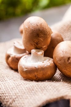 Fresh braund champignons in sunlight on a wooden table in daylight