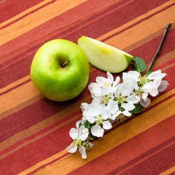 Green apple with a branch close-up