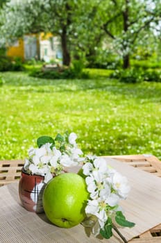Green apple with a branch of a blossoming apple-tree. On a table in a garden