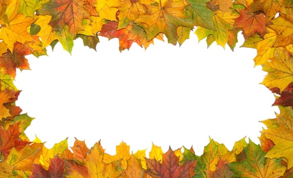 Frame with colored autumn maple leaves - white background