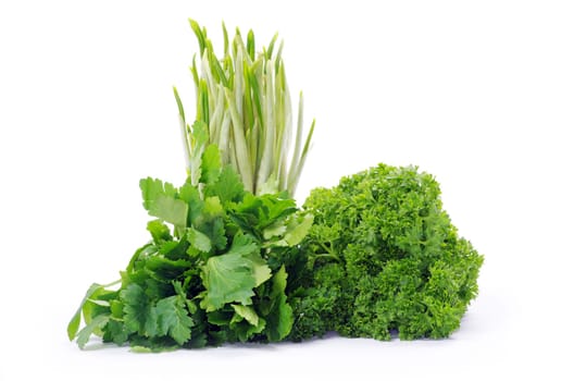 Fresh herbs isolated on white