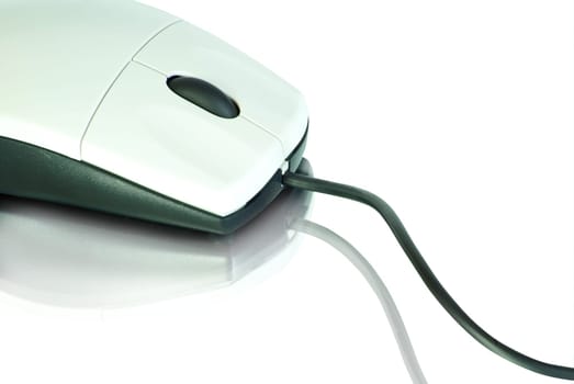 computer mouse isolated on white background