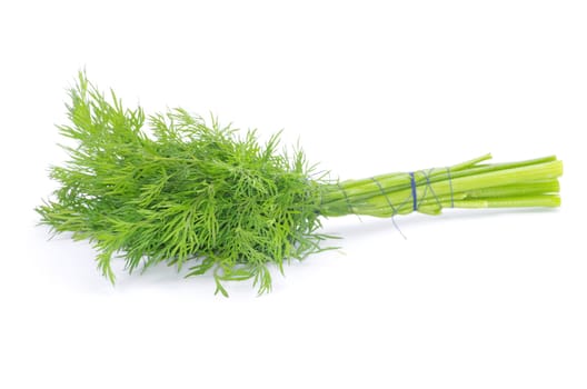 dill on a white background