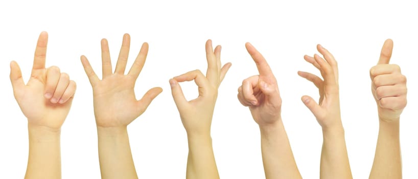 hands isolated on a white
