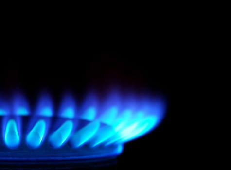Blue flames of gas stove in the dark