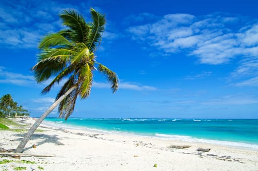 tropical sea and blue sky