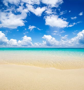 beautiful beach and tropical sea