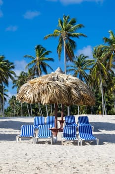 Caribbean Beach and Palm tree  .Paradise. Vacation and Tourism concept.