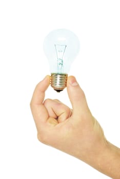 hand holding bulb isolated on white background