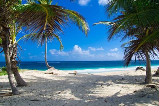 beautiful beach and tropical sea
